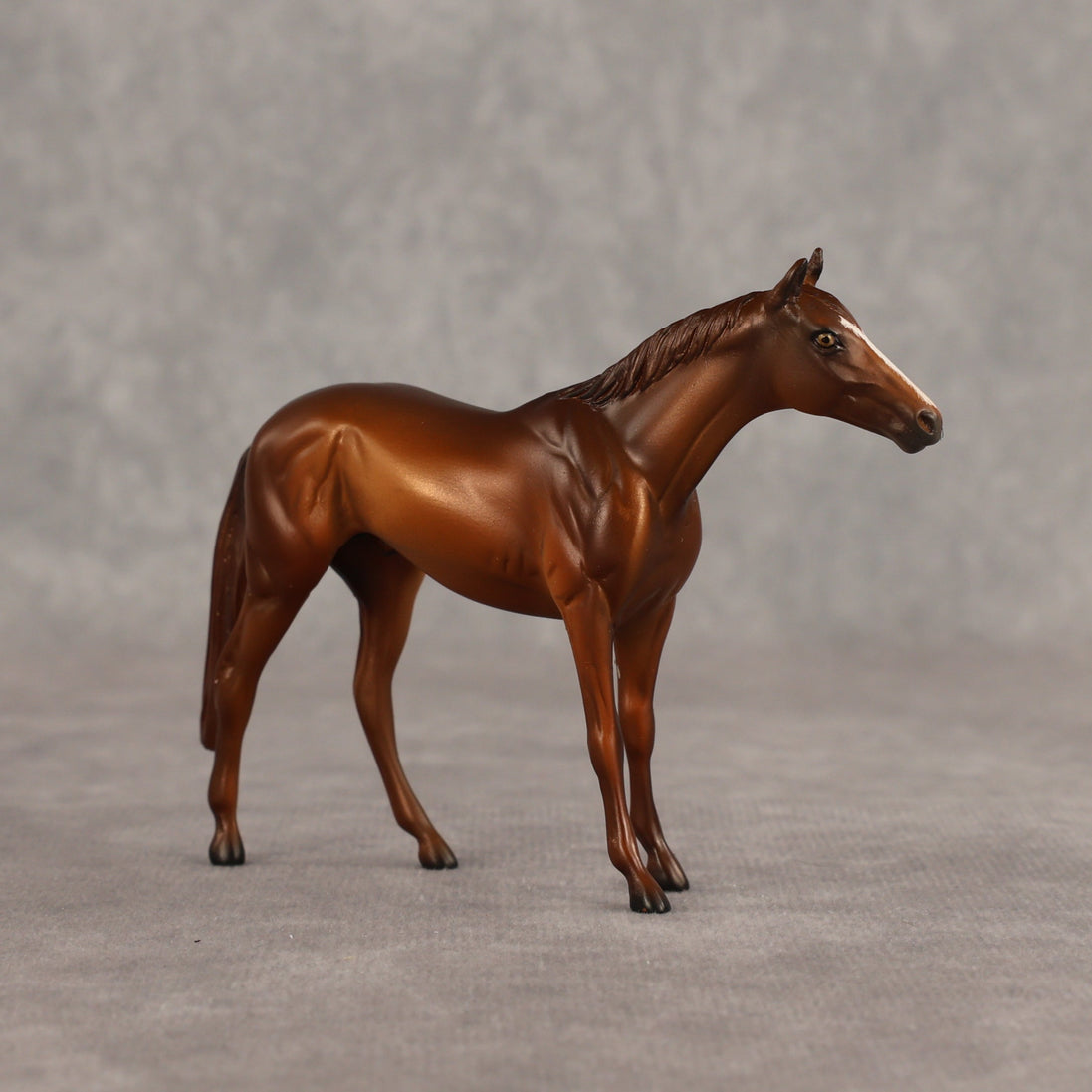 Sir-tips-a-lot OOAK Chip Thoroughbred  by Julie Keim SHCF26