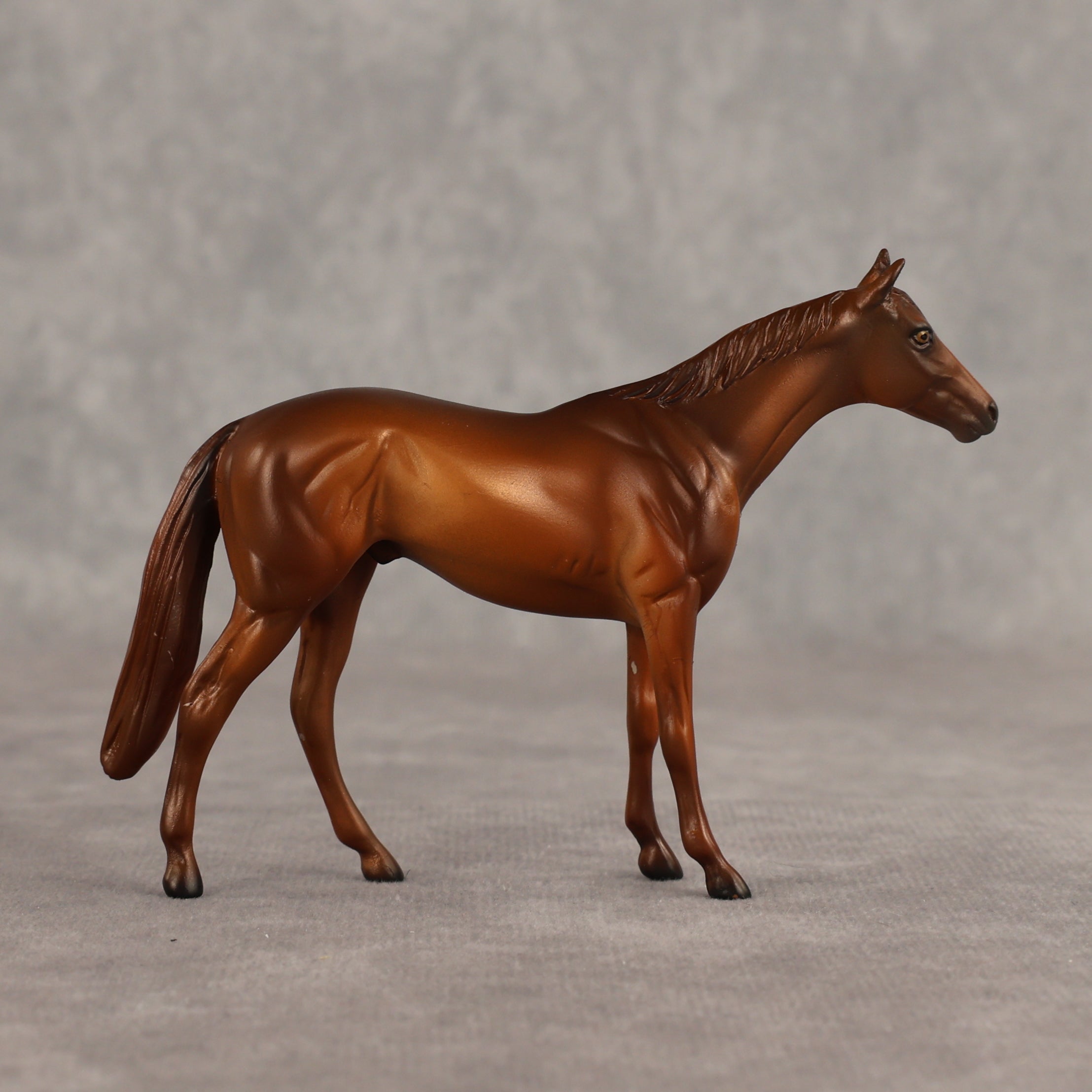 Sir-tips-a-lot OOAK Chip Thoroughbred  by Julie Keim SHCF26