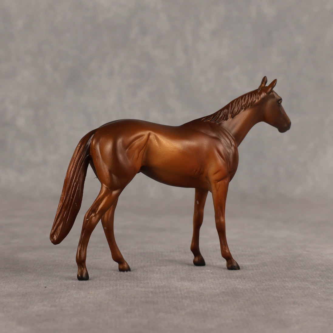 Sir-tips-a-lot OOAK Chip Thoroughbred  by Julie Keim SHCF26