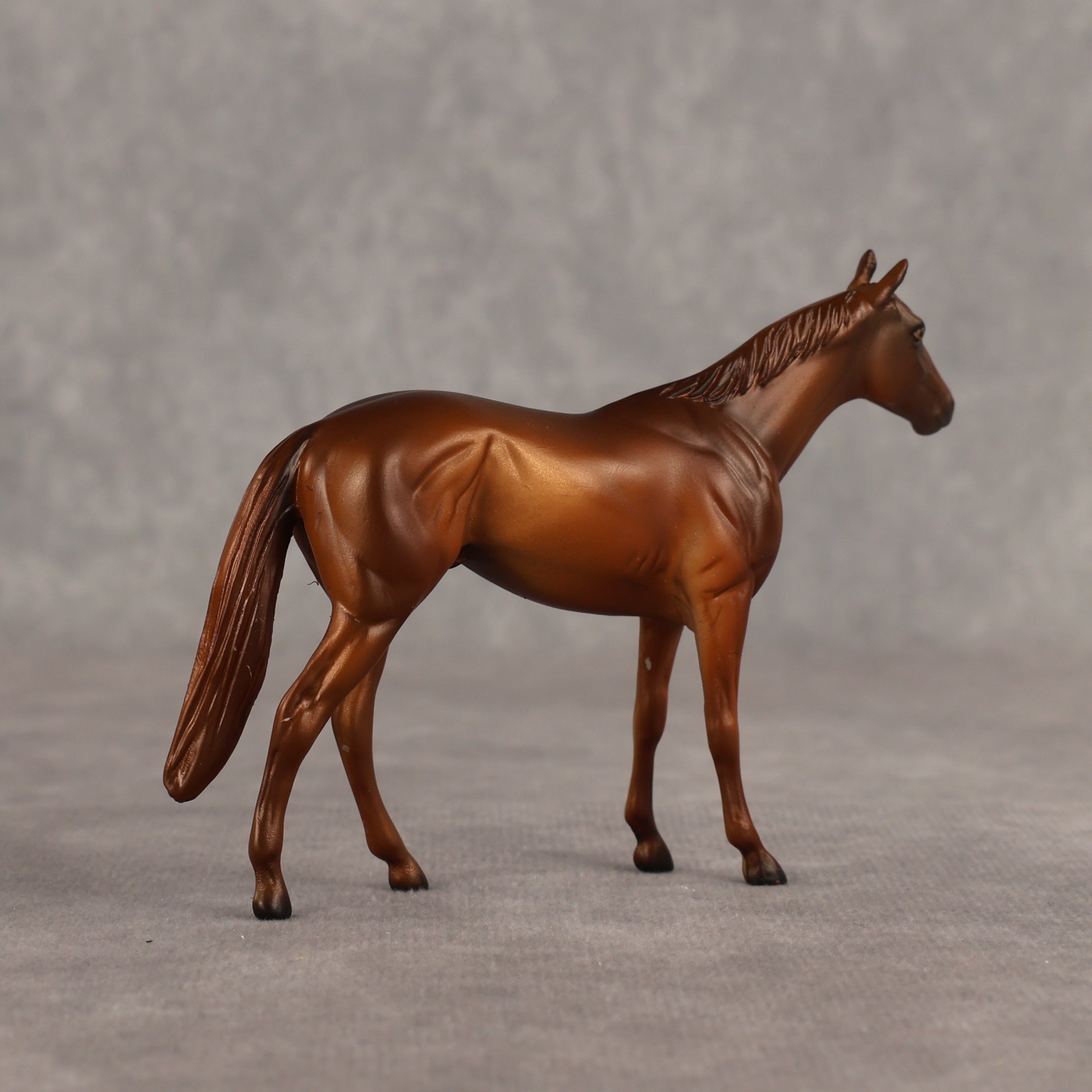 Sir-tips-a-lot OOAK Chip Thoroughbred  by Julie Keim SHCF26