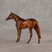 Sir-tips-a-lot OOAK Chip Thoroughbred  by Julie Keim SHCF26