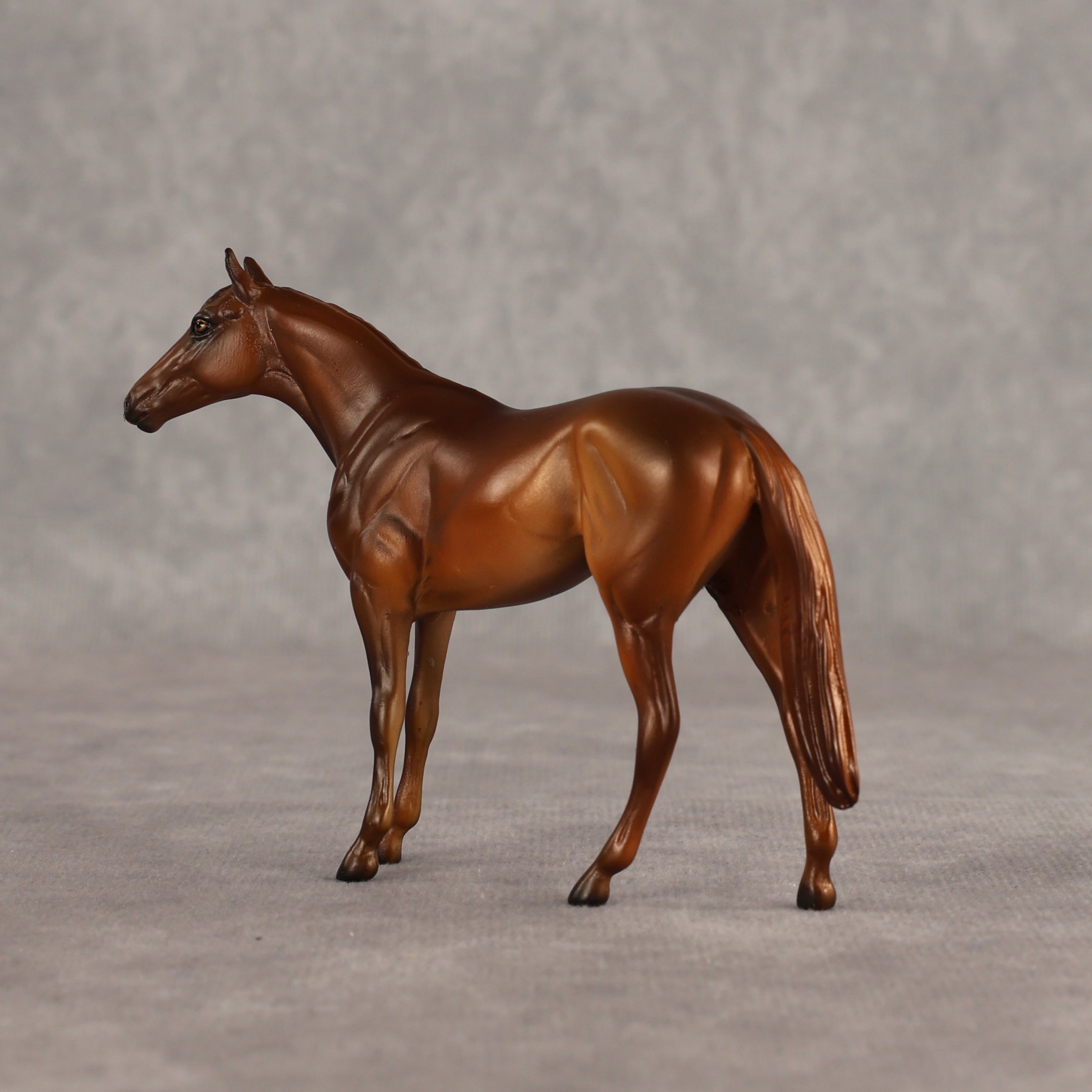 Sir-tips-a-lot OOAK Chip Thoroughbred  by Julie Keim SHCF26