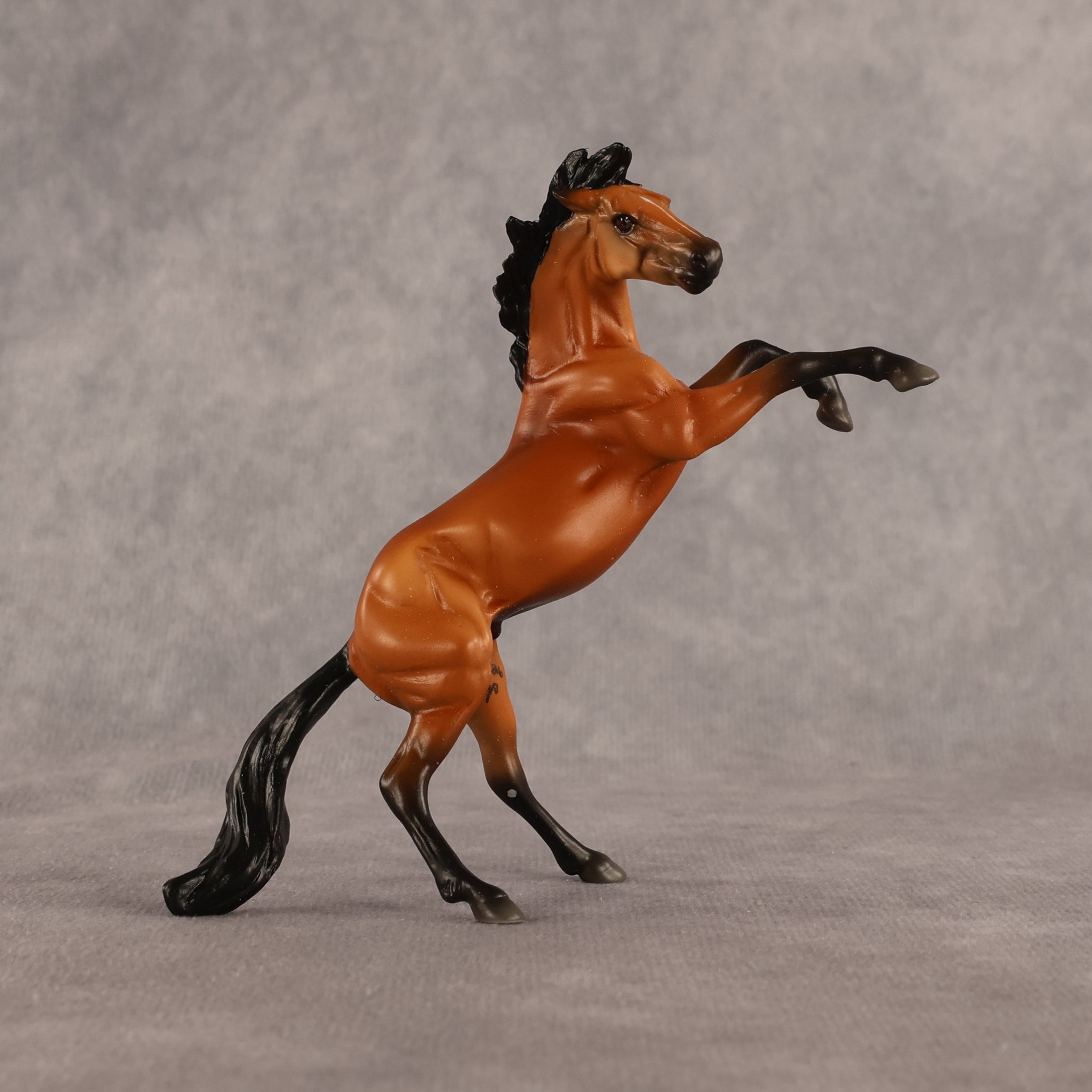 Sir Francis OOAK Chip Mustang by Madi Wiseman EQ26