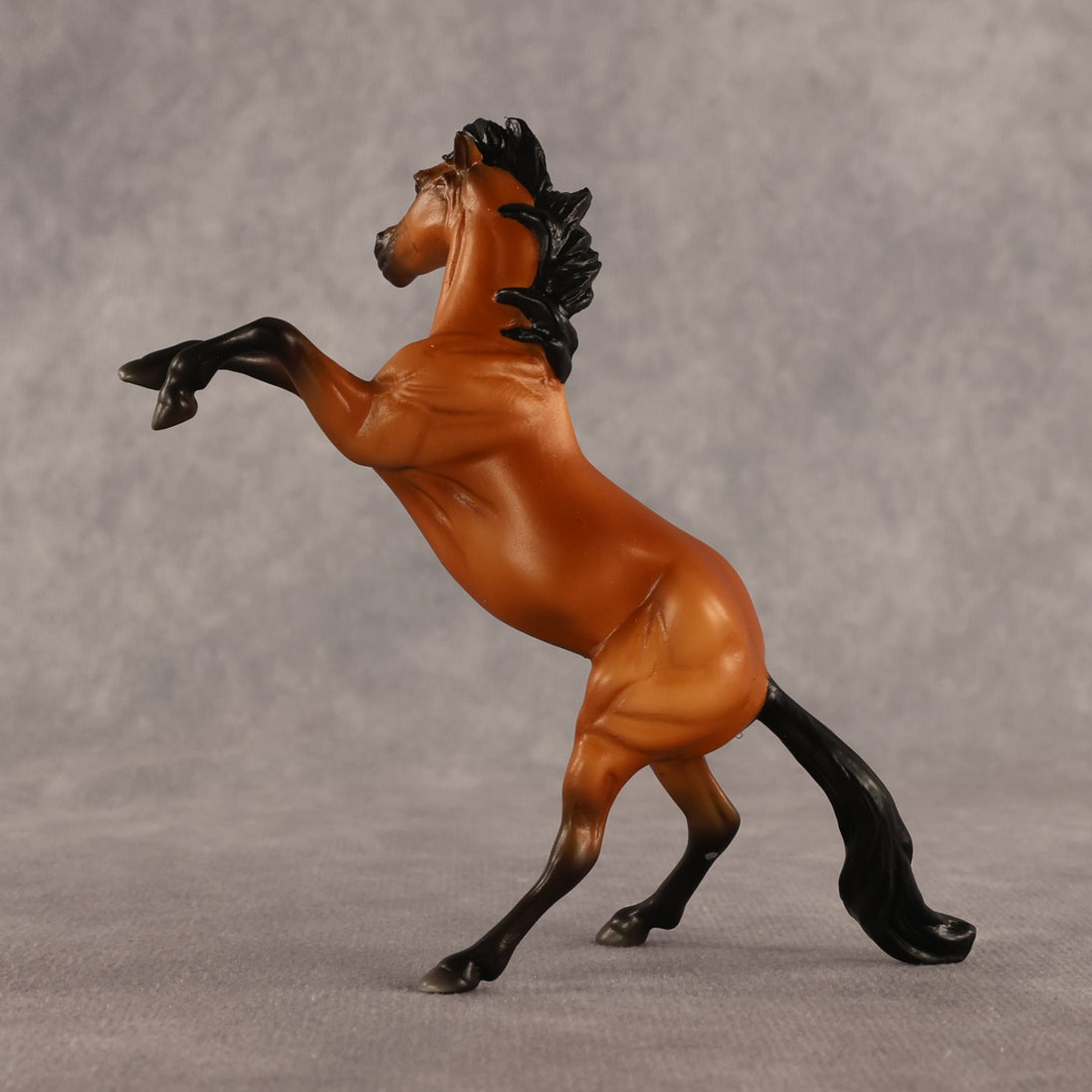 Sir Francis OOAK Chip Mustang by Madi Wiseman EQ26