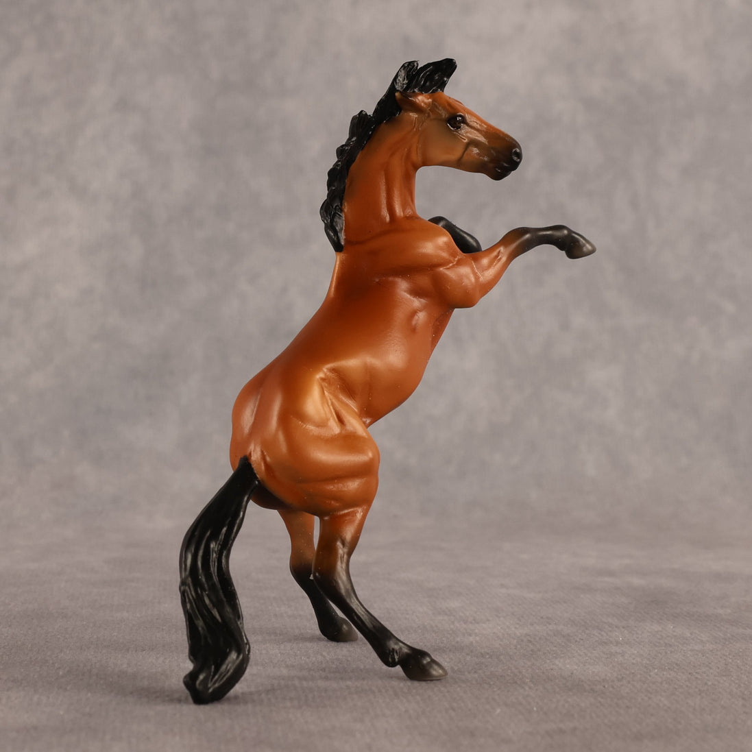 Sir Francis OOAK Chip Mustang by Madi Wiseman EQ26