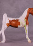 Skelly Clarkson OOAK Pebble Saddlebred by Jess Hamill MM25