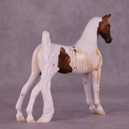 Skelly Rowland OOAK Pebble Saddlebred by Jess Hamill MM25
