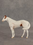 Slushie OOAK FCM Chip Stock Horse by Jess Hamill SHCF26