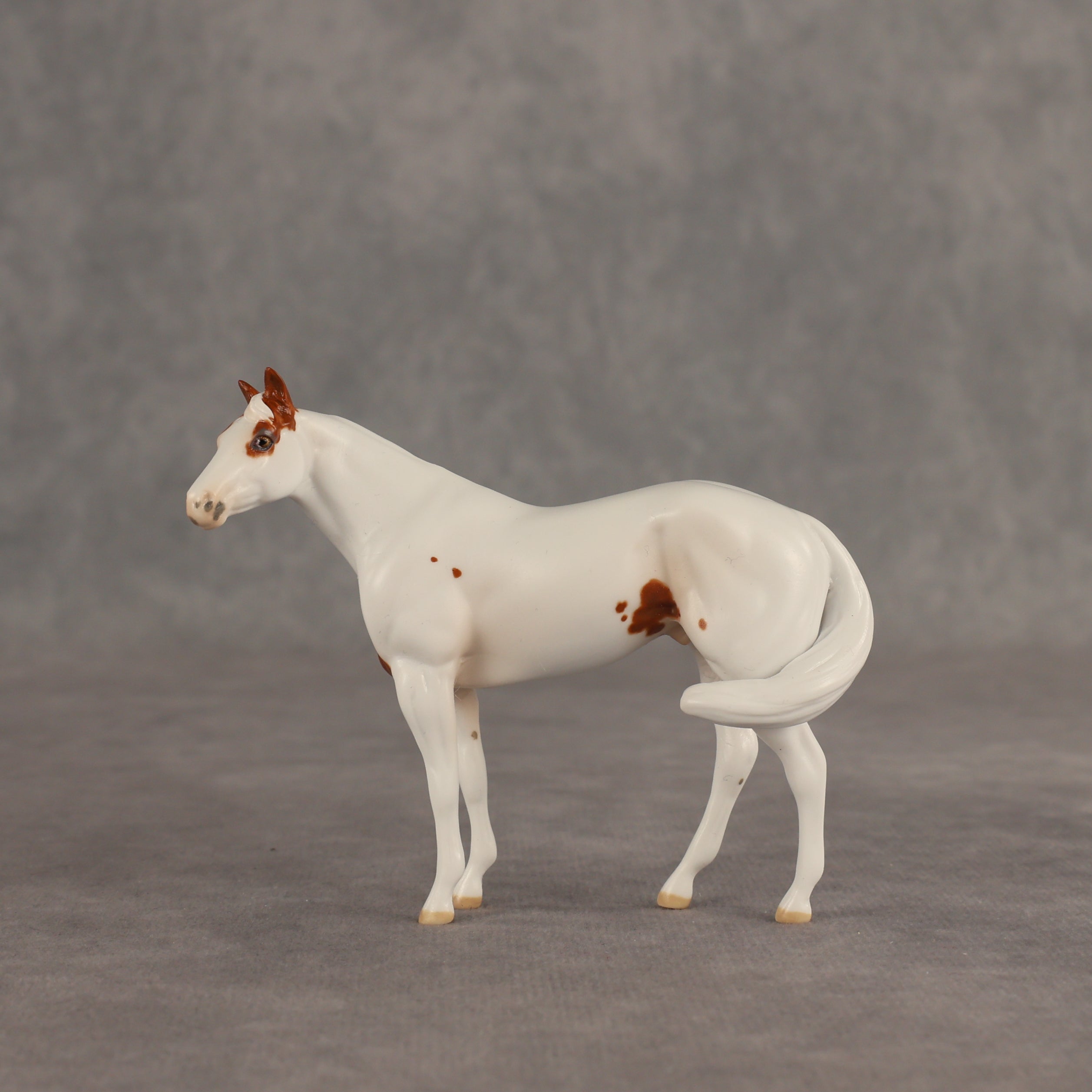 Slushie OOAK FCM Chip Stock Horse by Jess Hamill SHCF26