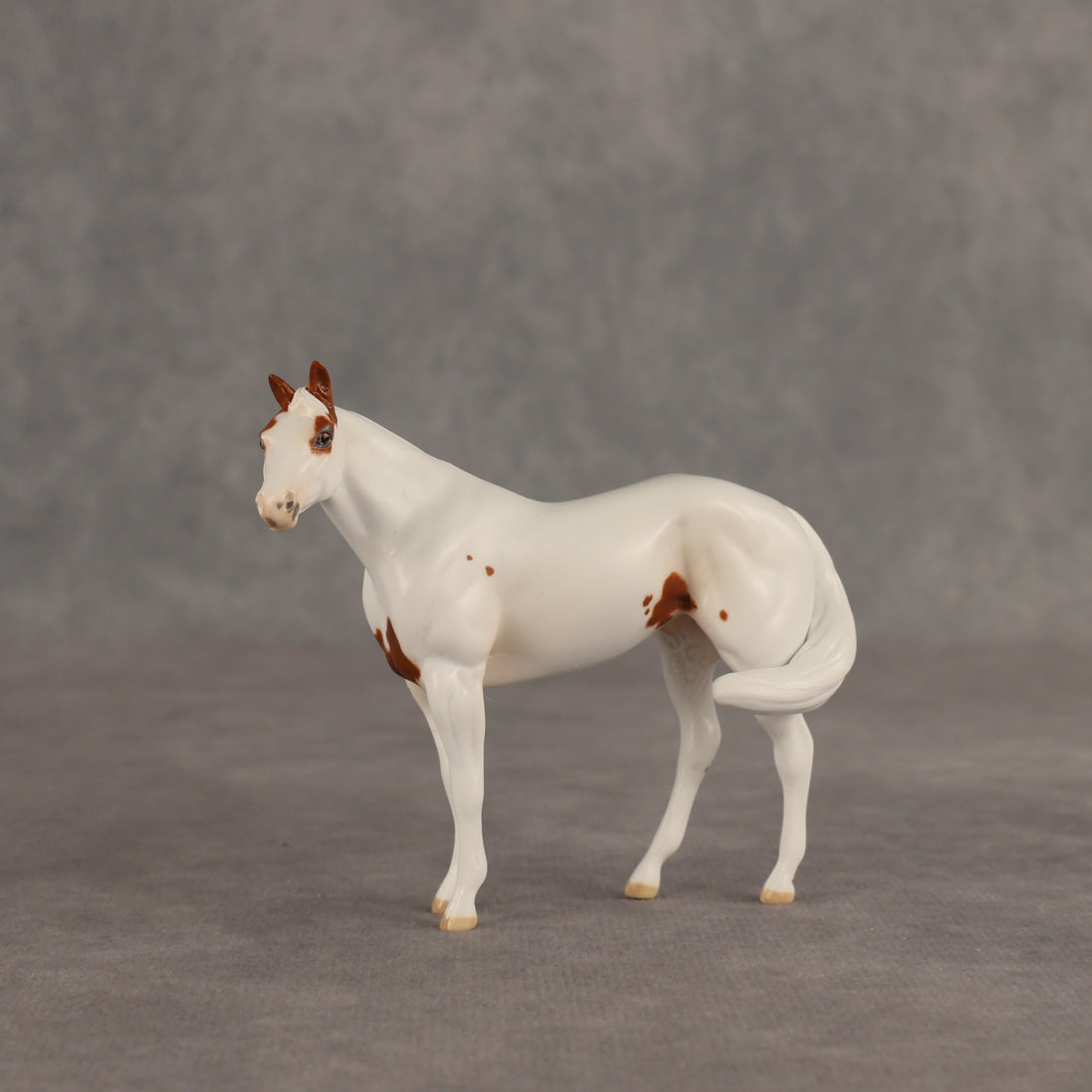 Slushie OOAK FCM Chip Stock Horse by Jess Hamill SHCF26