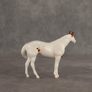 Slushie OOAK FCM Chip Stock Horse by Jess Hamill SHCF26