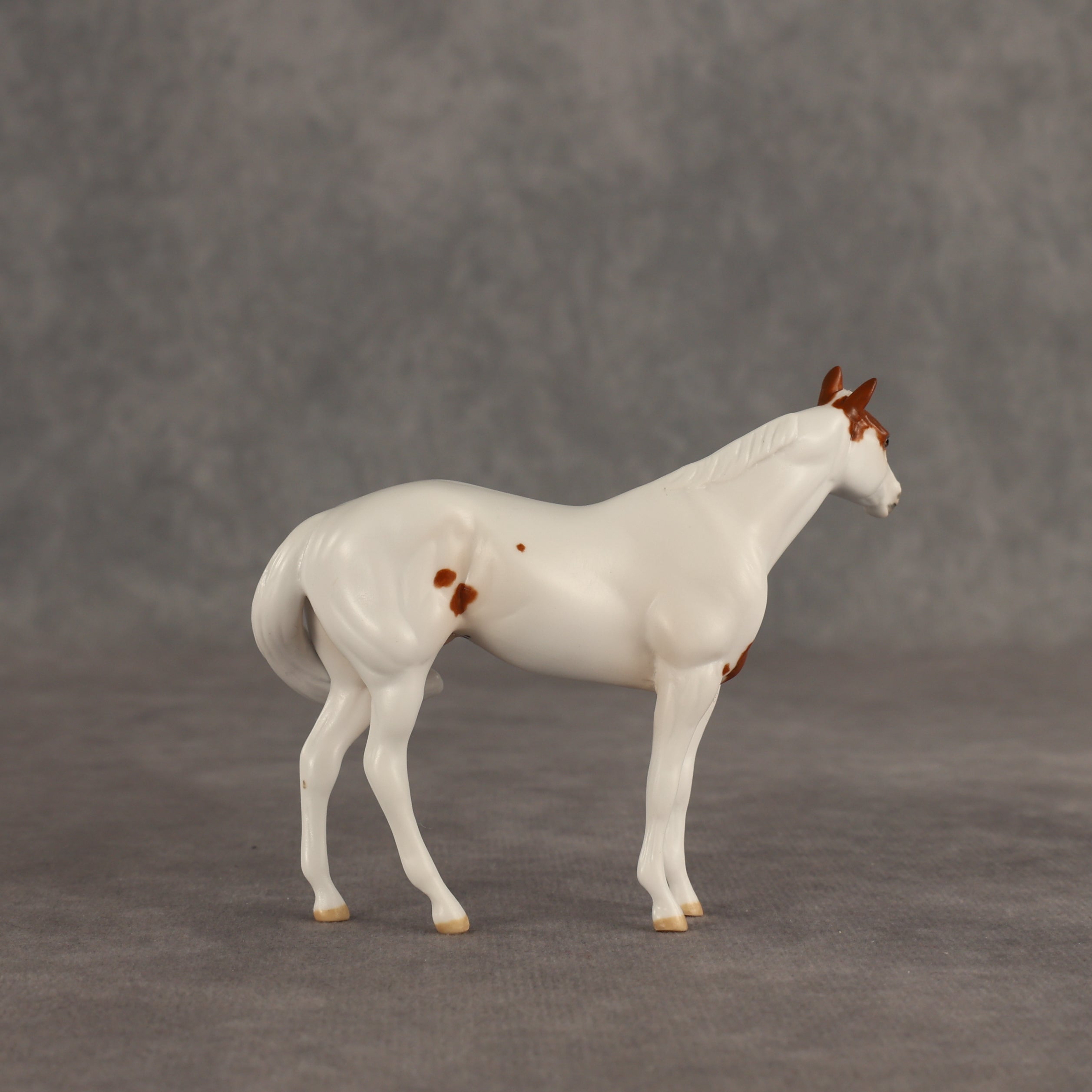 Slushie OOAK FCM Chip Stock Horse by Jess Hamill SHCF26