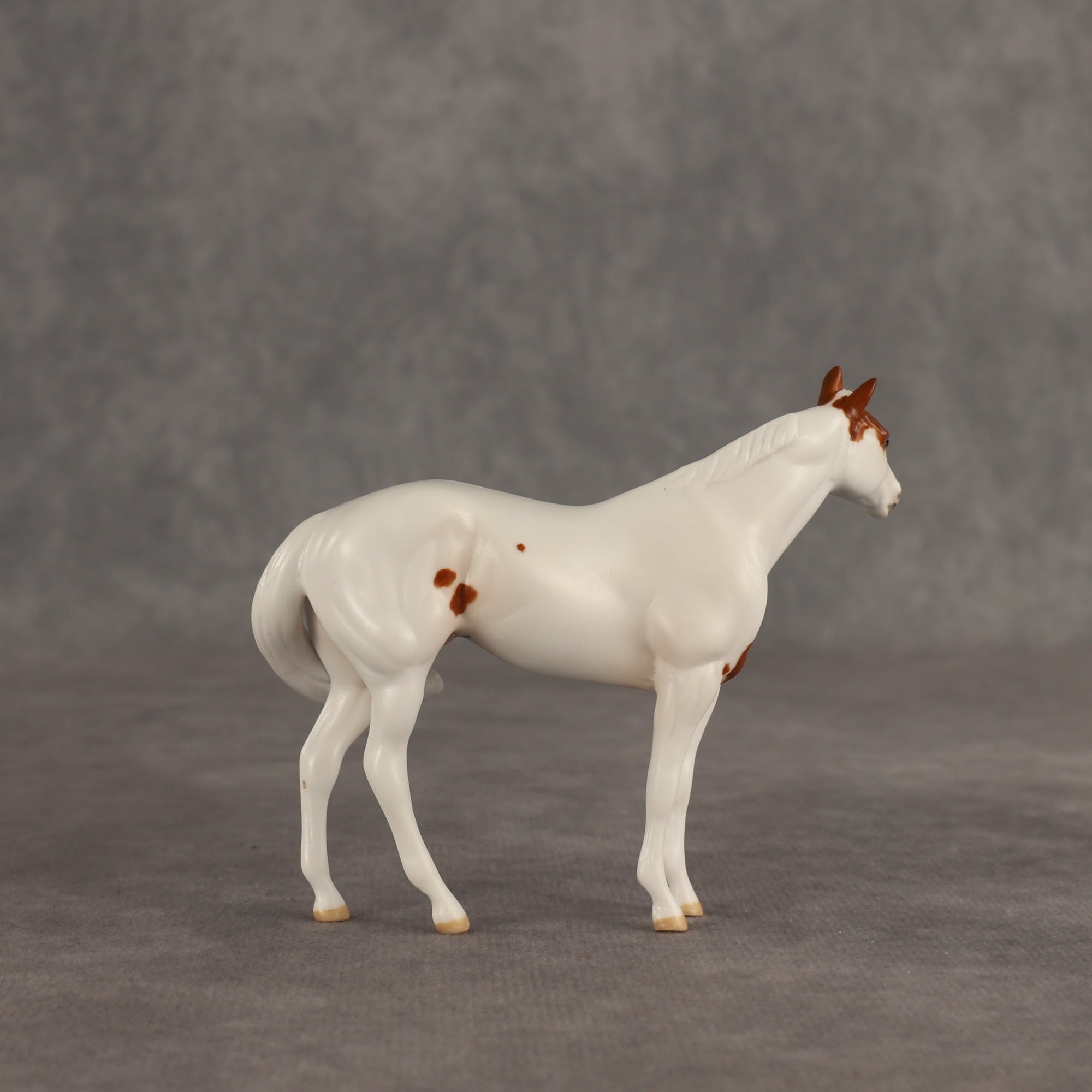 Slushie OOAK FCM Chip Stock Horse by Jess Hamill SHCF26