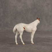 Slushie OOAK FCM Chip Stock Horse by Jess Hamill SHCF26