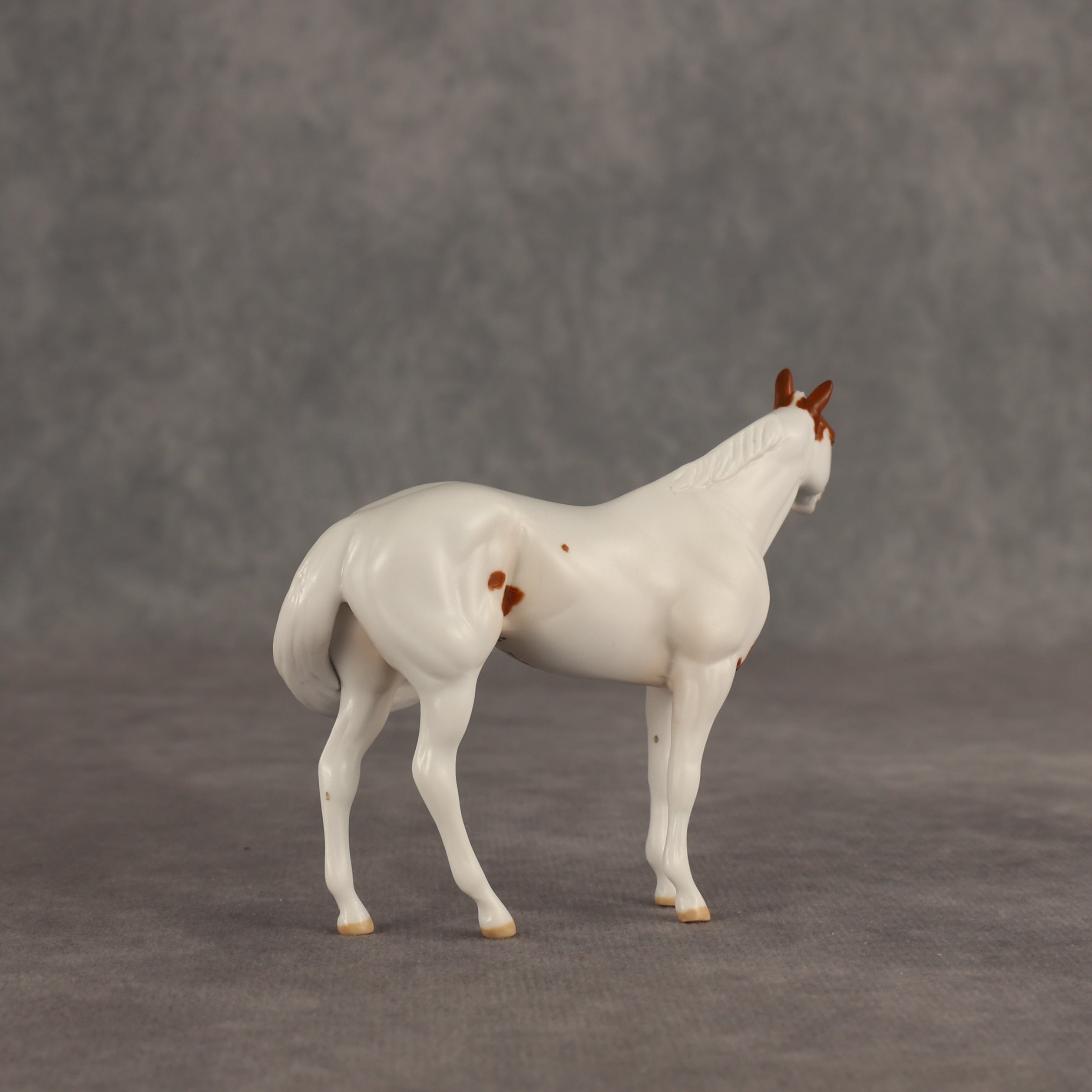 Slushie OOAK FCM Chip Stock Horse by Jess Hamill SHCF26