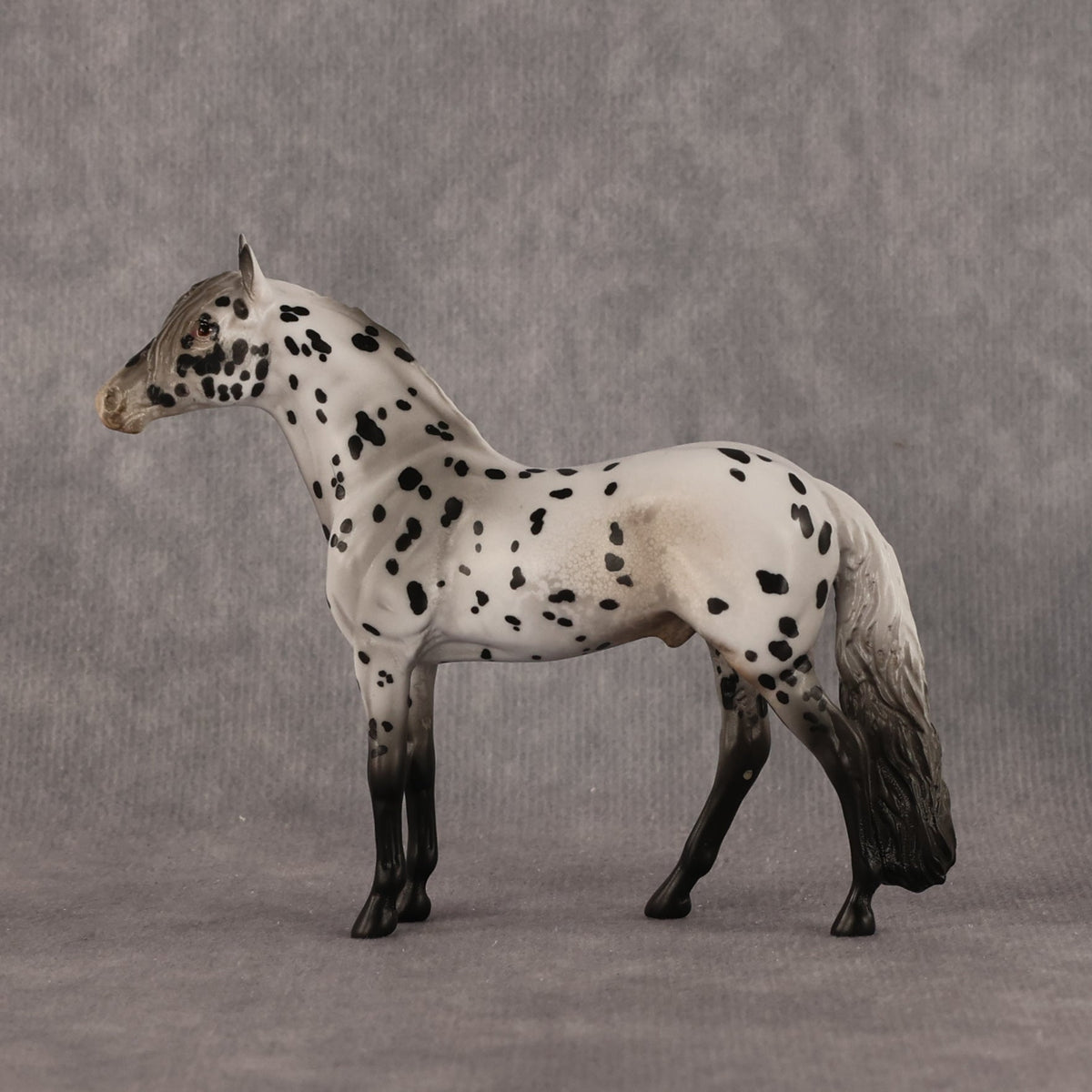 Small Spot OOAK Chip Andalusian by Anna Rieck LHS26