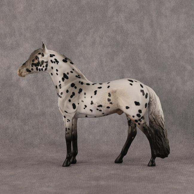 Small Spot OOAK Chip Andalusian by Anna Rieck LHS26