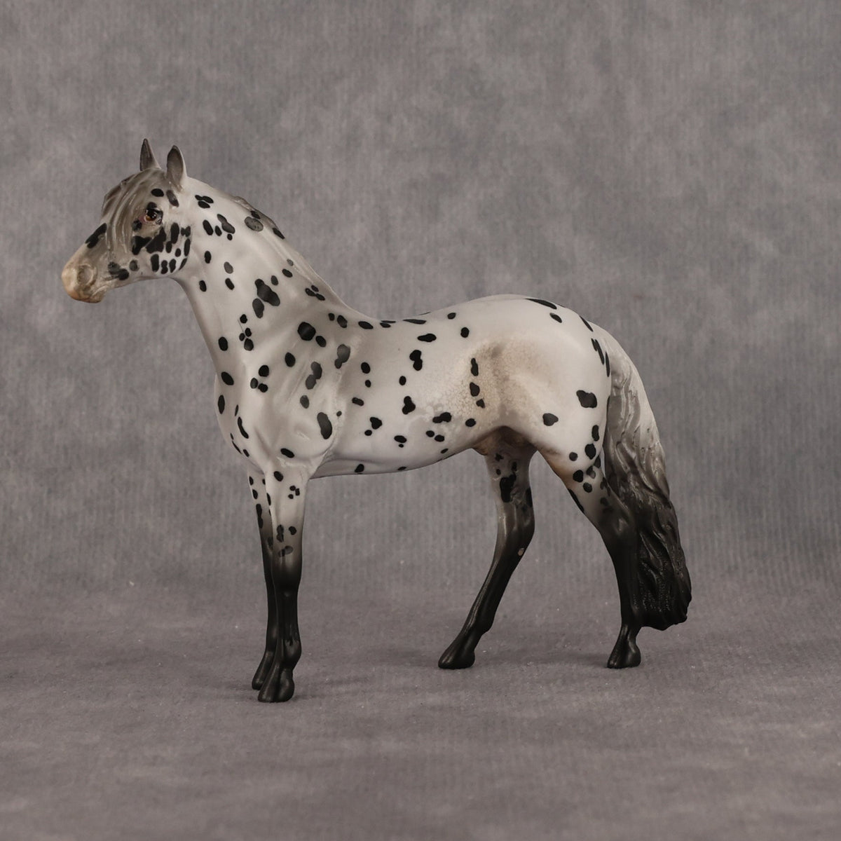 Small Spot OOAK Chip Andalusian by Anna Rieck LHS26