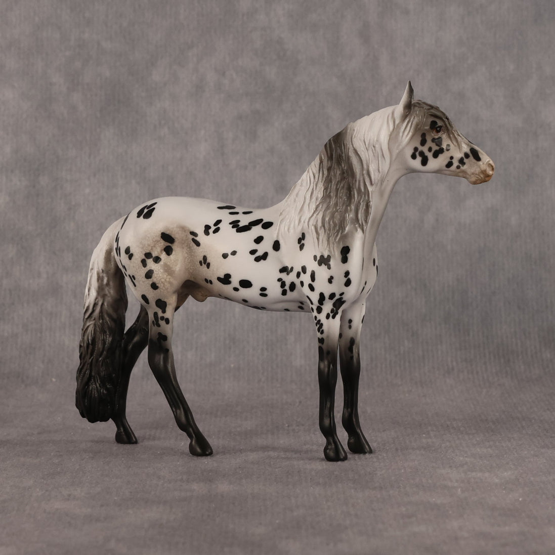 Small Spot OOAK Chip Andalusian by Anna Rieck LHS26