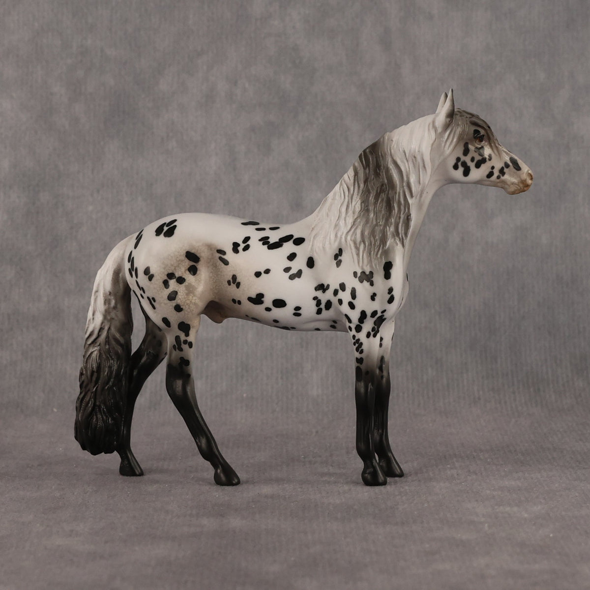 Small Spot OOAK Chip Andalusian by Anna Rieck LHS26
