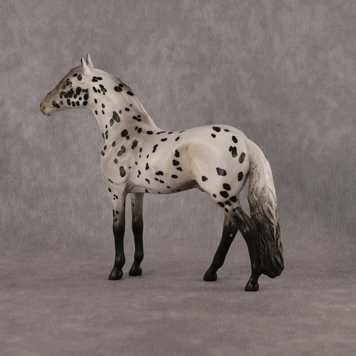 Small Spot OOAK Chip Andalusian by Anna Rieck LHS26