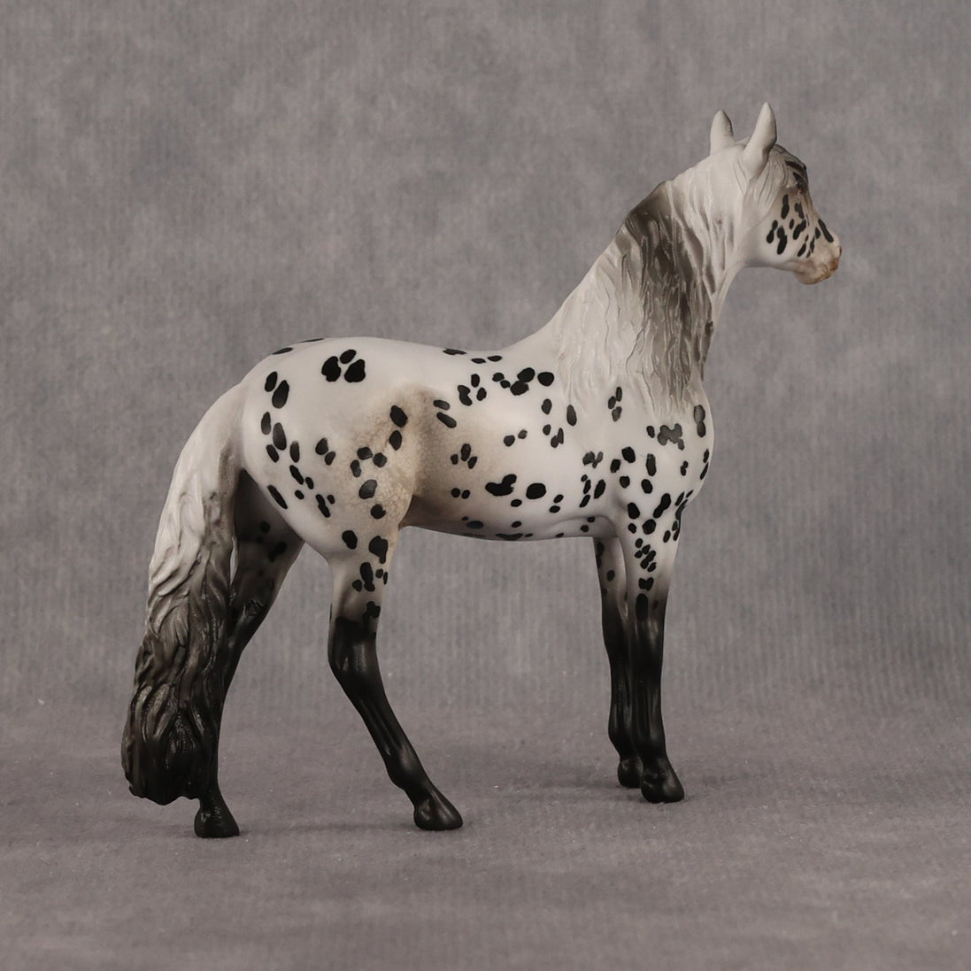 Small Spot OOAK Chip Andalusian by Anna Rieck LHS26