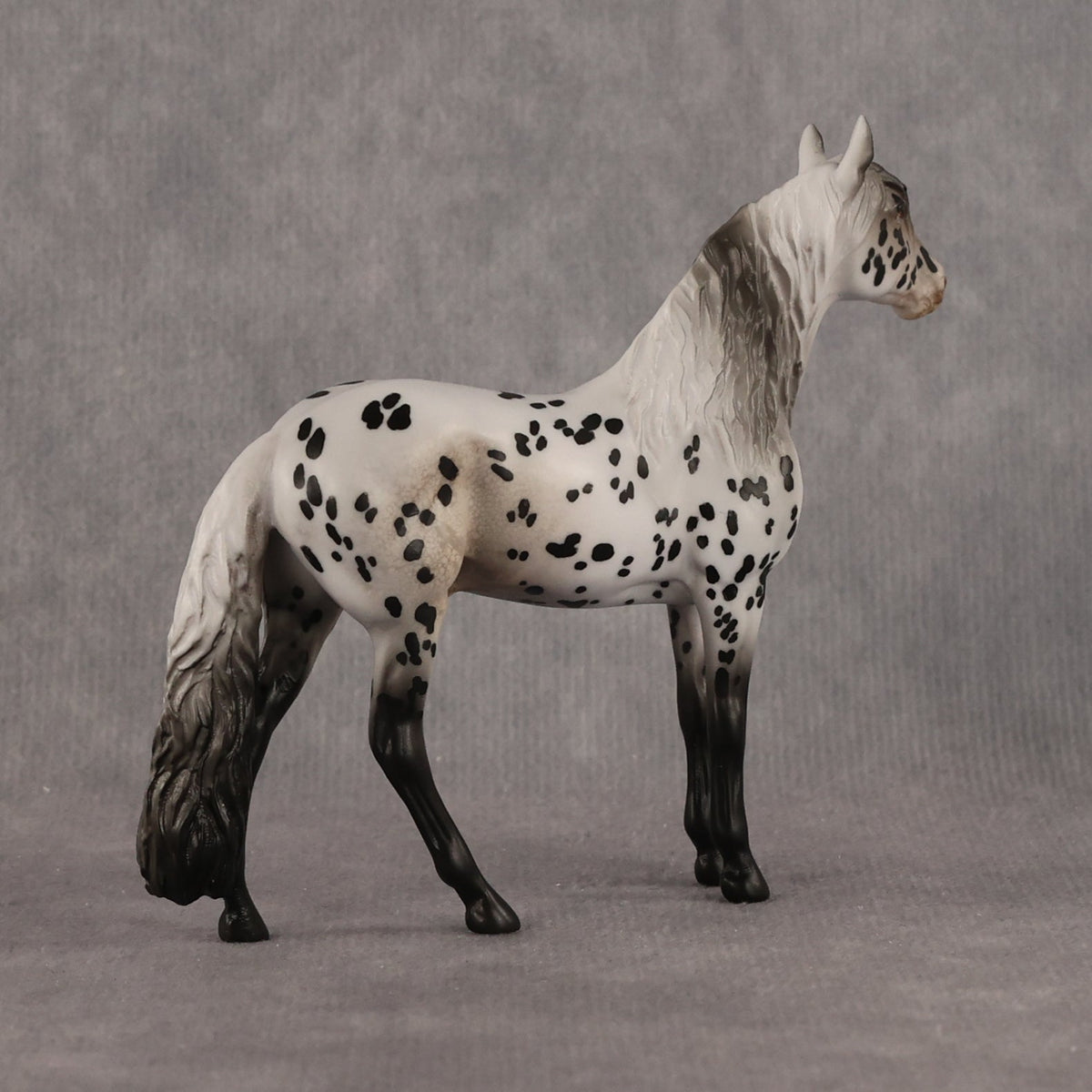 Small Spot OOAK Chip Andalusian by Anna Rieck LHS26