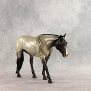 Smooth Operator LE-15 EFCM Western Pleasure Horse by Anna Rieck PFP26