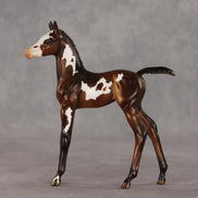 Snail Mail OOAK FCM Arabian Foal by Julie Keim VV26