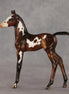 Snail Mail OOAK FCM Arabian Foal by Julie Keim VV26