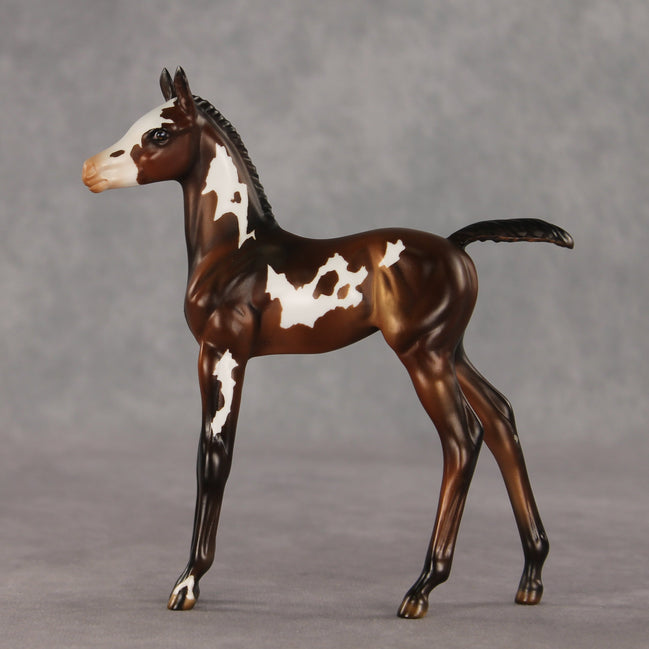 Snail Mail OOAK FCM Arabian Foal by Julie Keim VV26