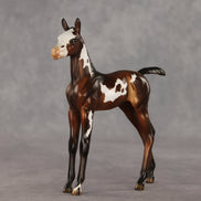 Snail Mail OOAK FCM Arabian Foal by Julie Keim VV26