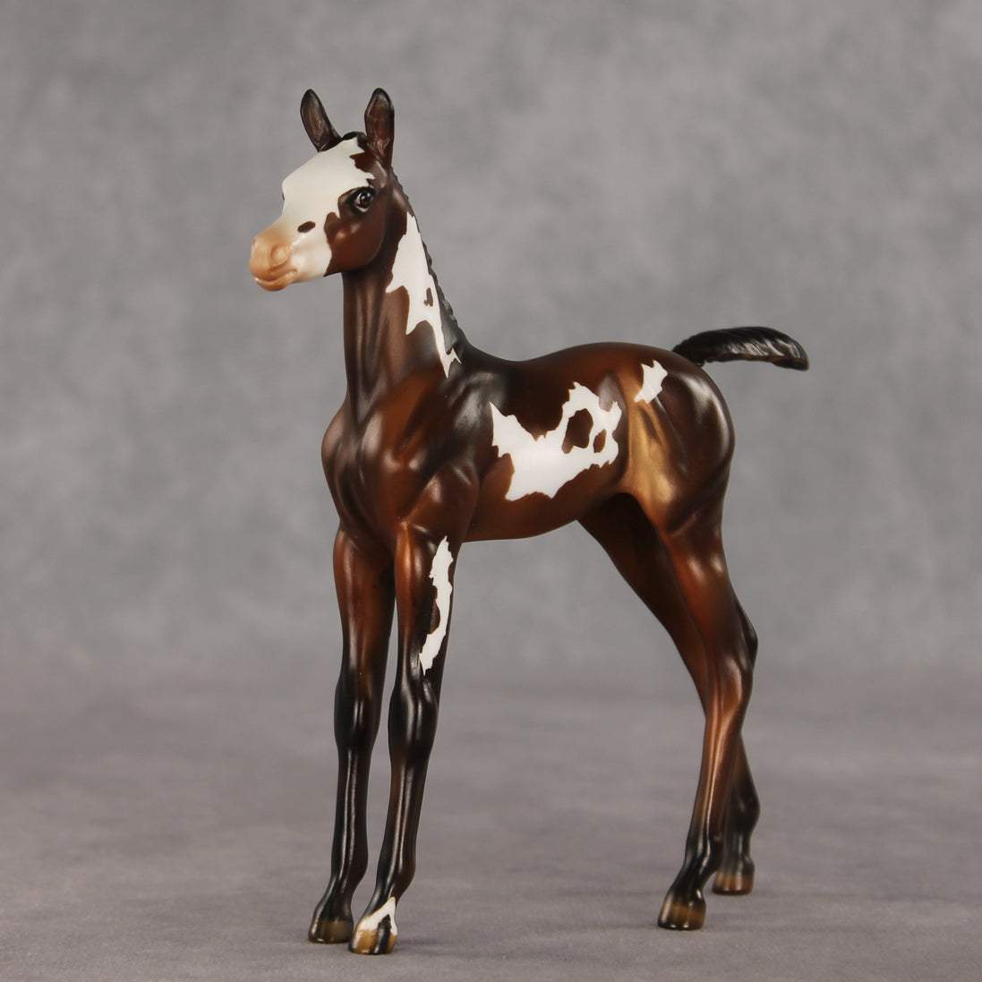 Snail Mail OOAK FCM Arabian Foal by Julie Keim VV26