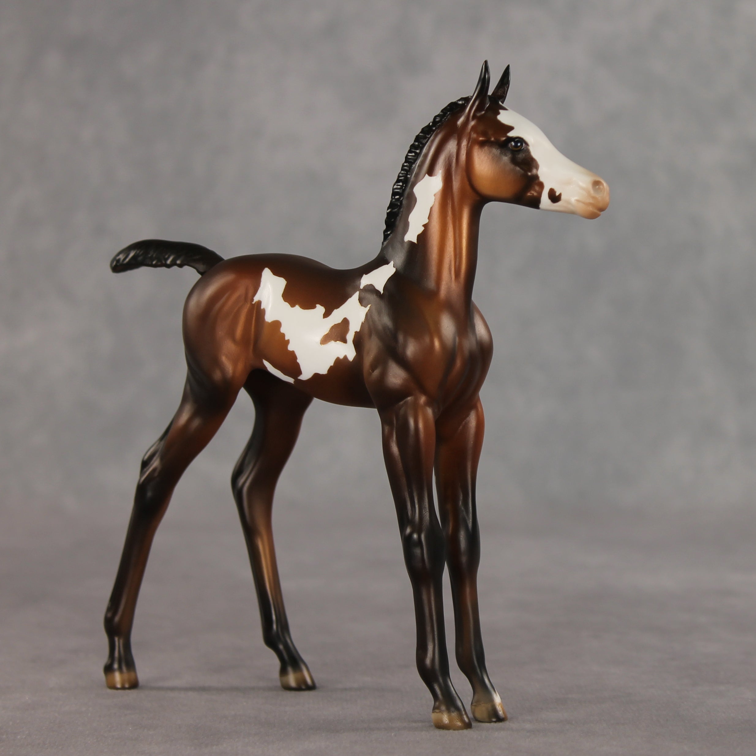 Snail Mail OOAK FCM Arabian Foal by Julie Keim VV26
