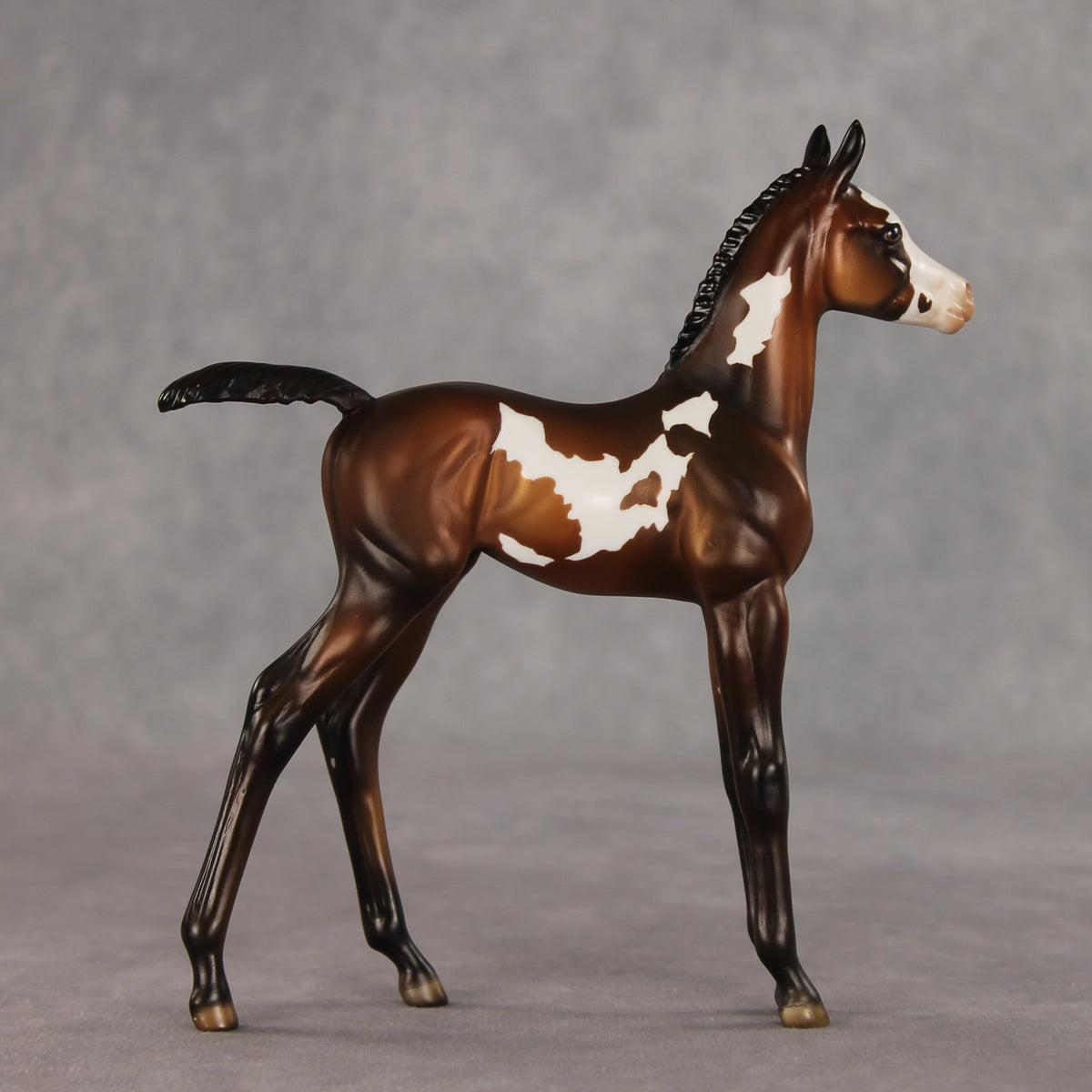 Snail Mail OOAK FCM Arabian Foal by Julie Keim VV26