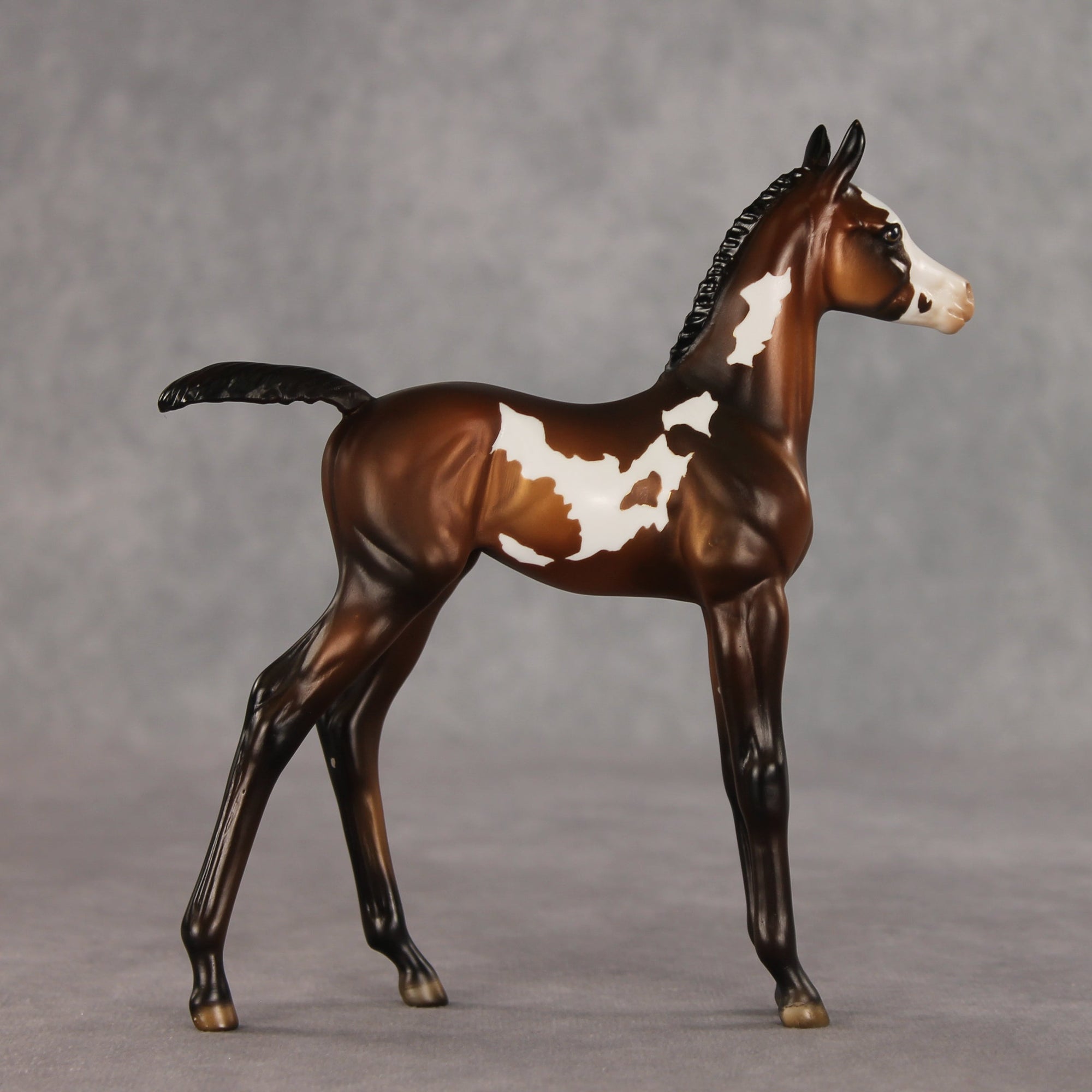 Snail Mail OOAK FCM Arabian Foal by Julie Keim VV26