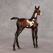 Snail Mail OOAK FCM Arabian Foal by Julie Keim VV26