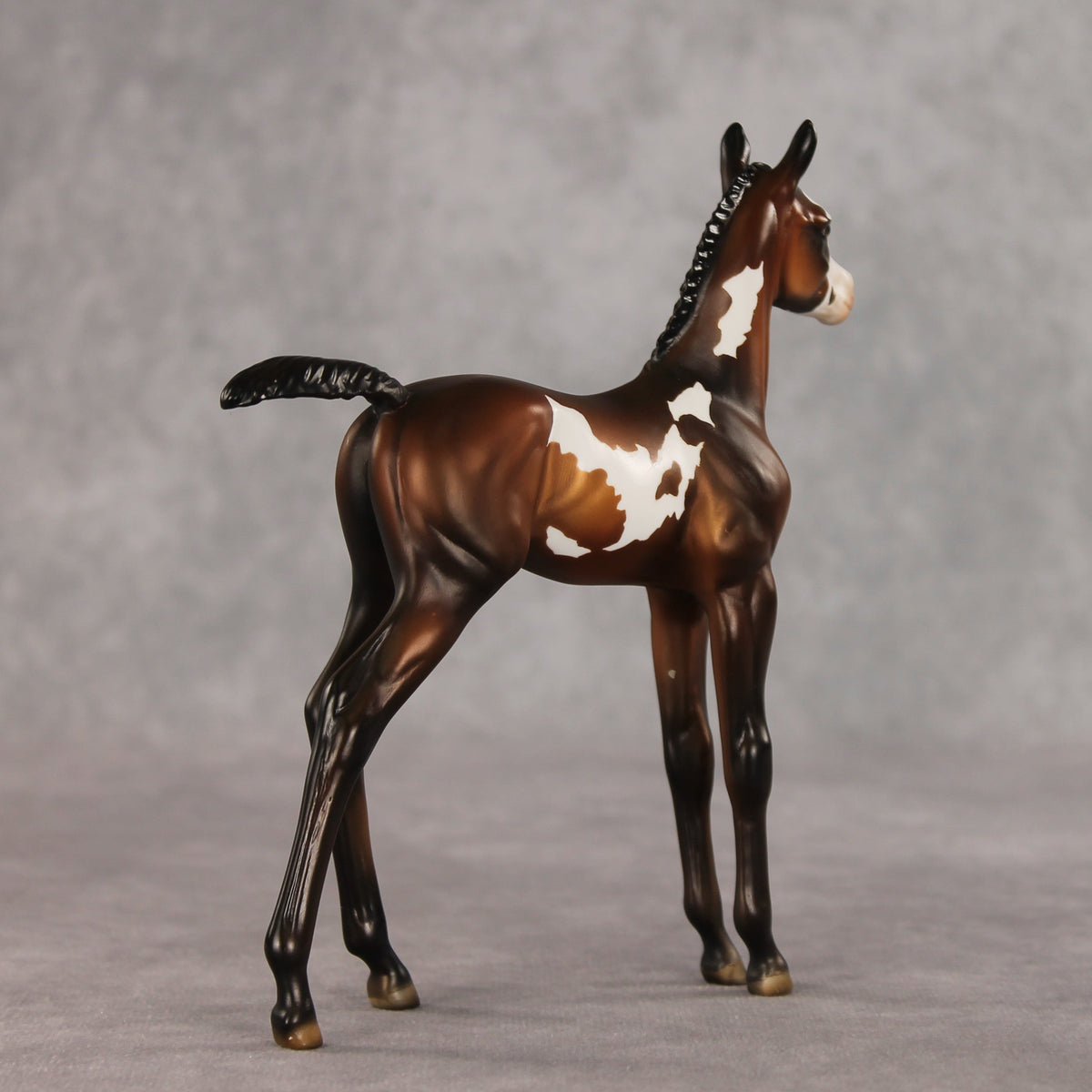 Snail Mail OOAK FCM Arabian Foal by Julie Keim VV26