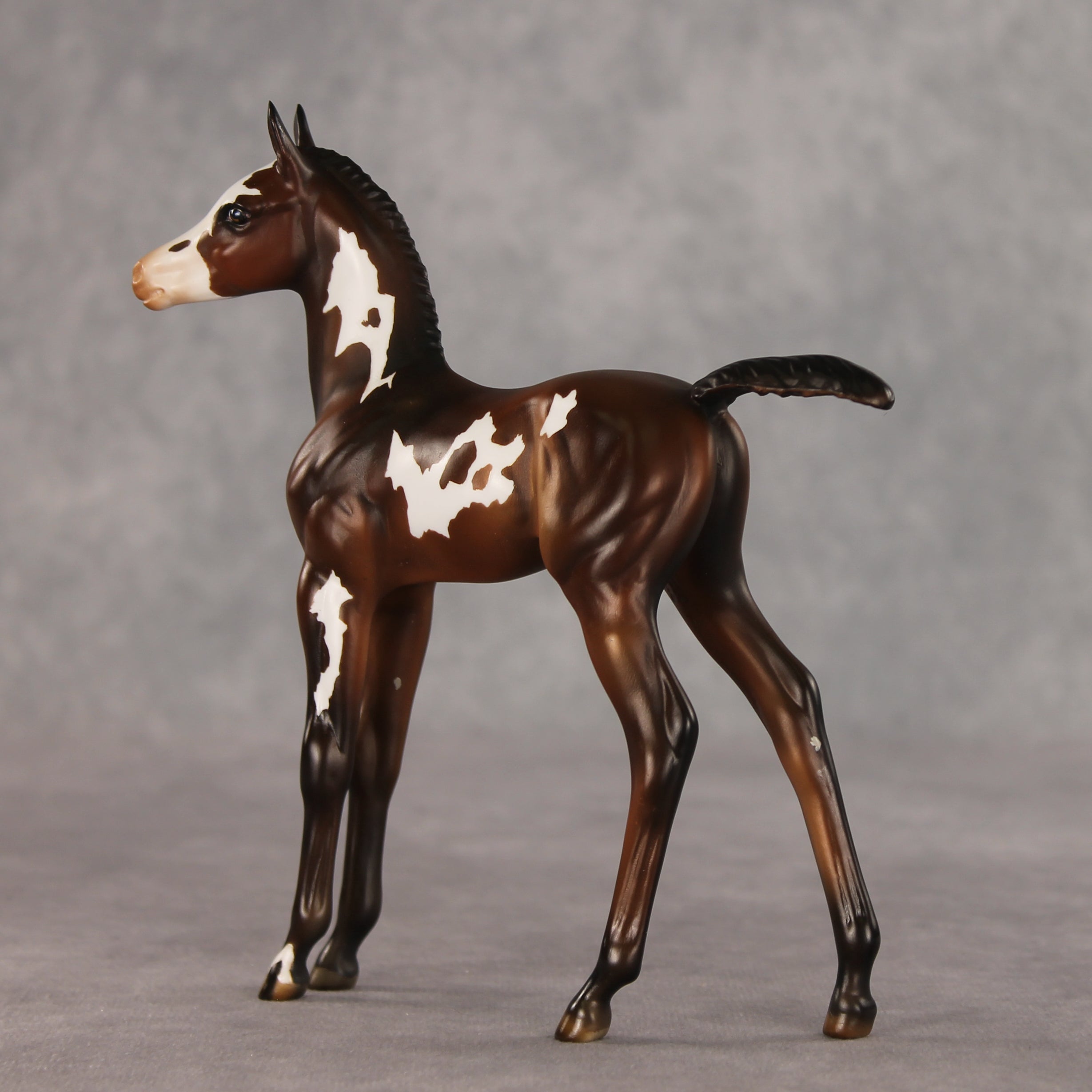 Snail Mail OOAK FCM Arabian Foal by Julie Keim VV26