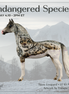 Snow Leopard LE-10 Morgan by Enrique Duarte ES26