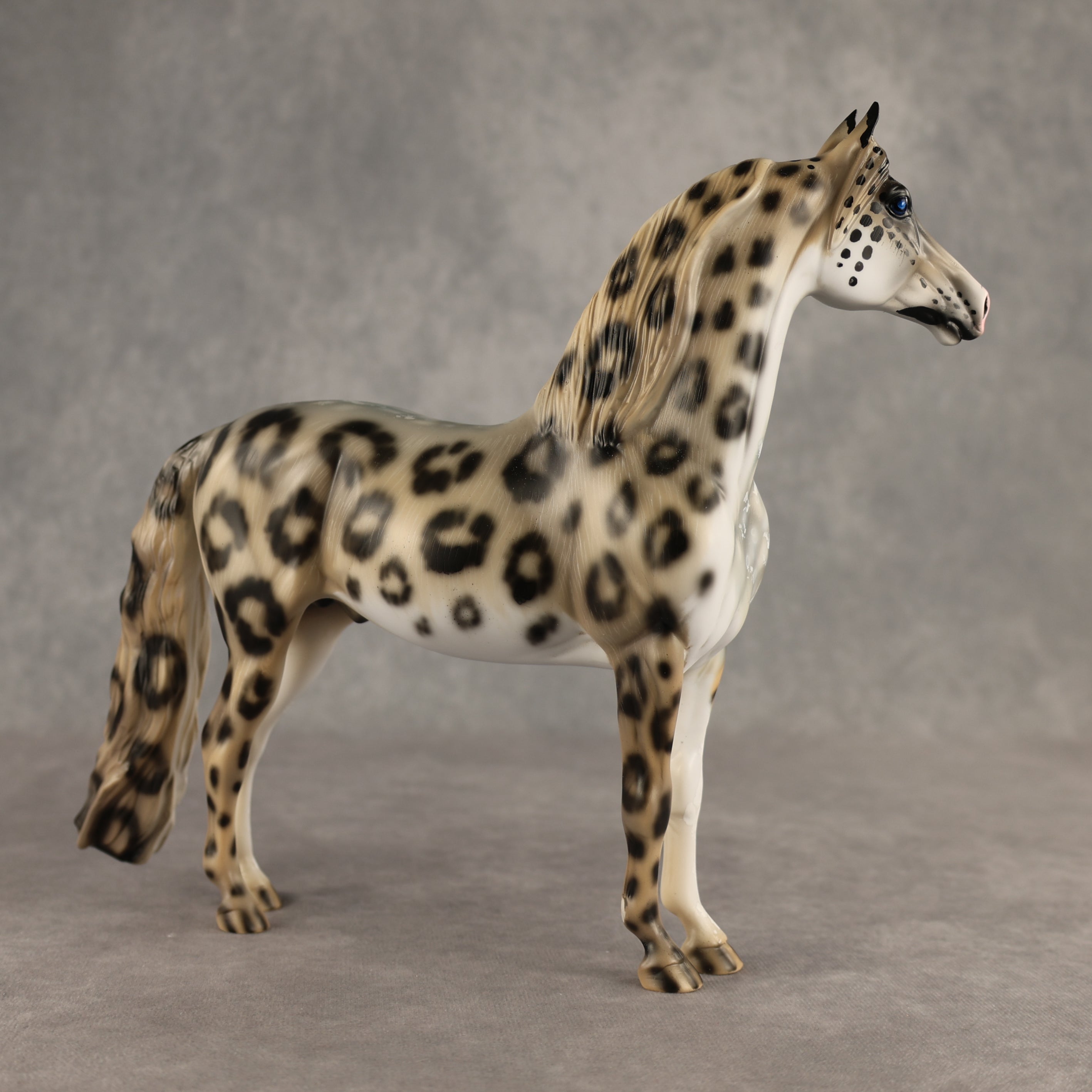 Snow Leopard LE-10 Morgan by Enrique Duarte ES26