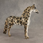 Snow Leopard LE-10 Morgan by Enrique Duarte ES26