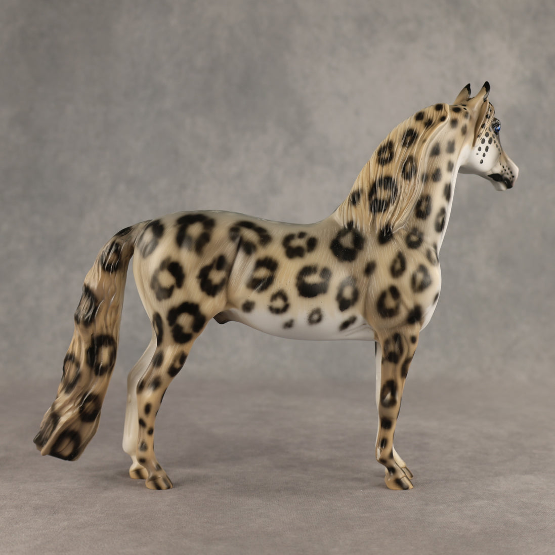 Snow Leopard LE-10 Morgan by Enrique Duarte ES26