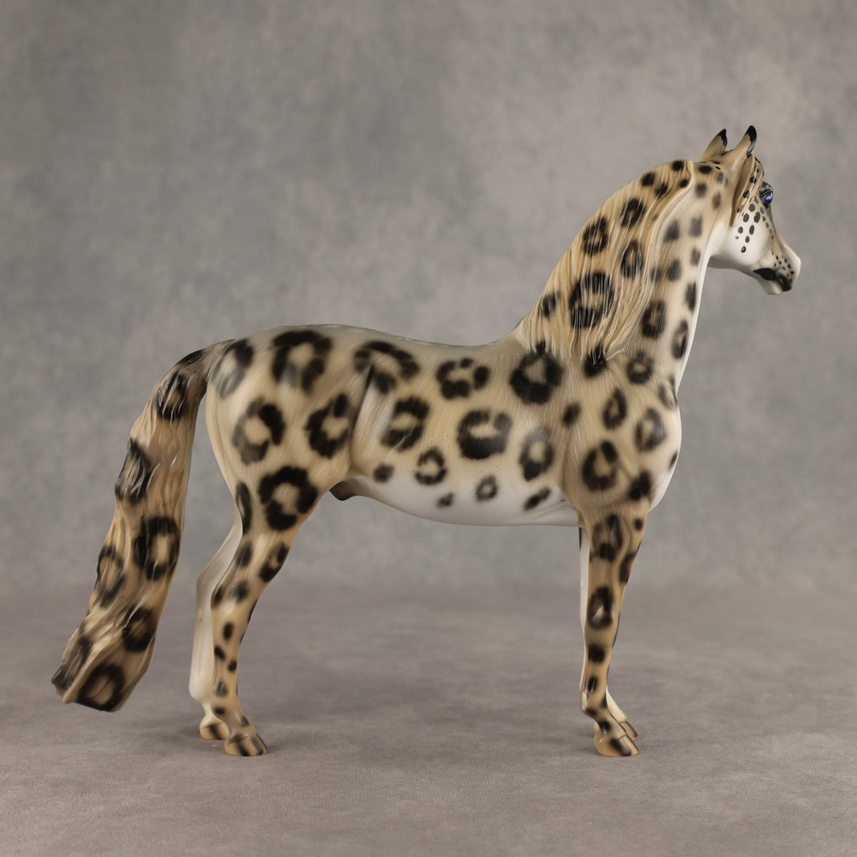 Snow Leopard LE-10 Morgan by Enrique Duarte ES26