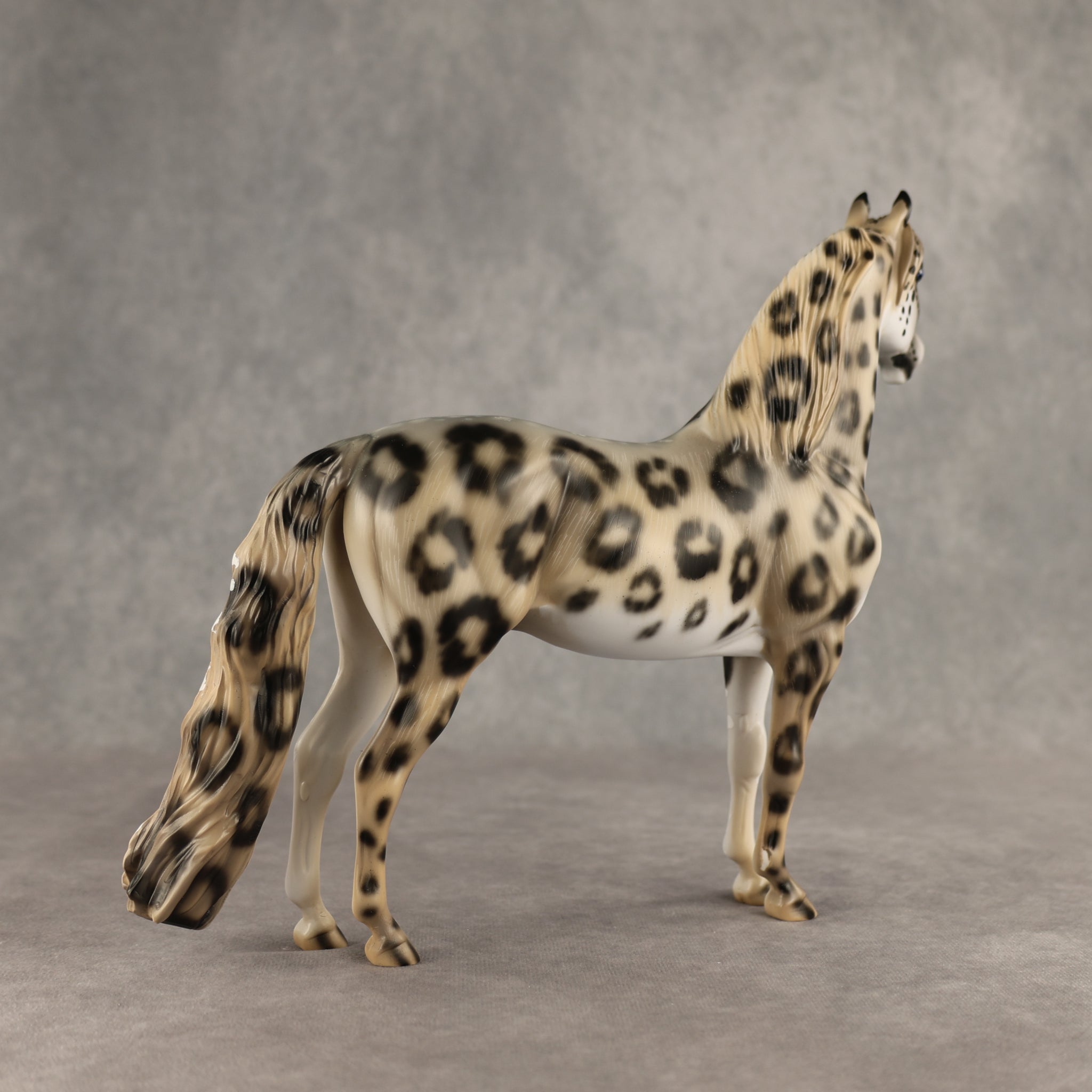 Snow Leopard LE-10 Morgan by Enrique Duarte ES26