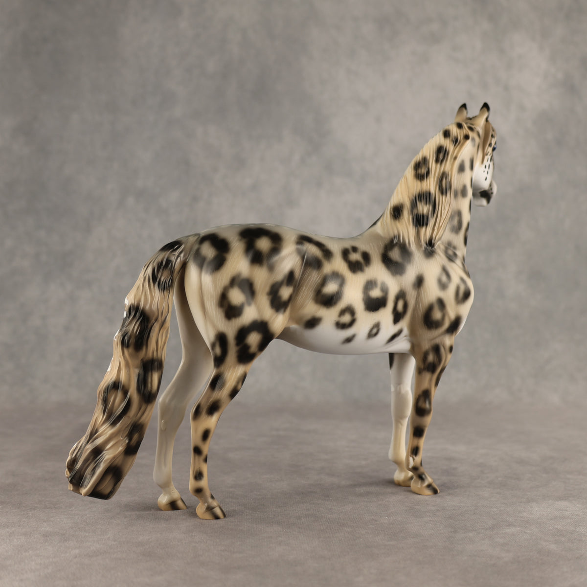 Snow Leopard LE-10 Morgan by Enrique Duarte ES26