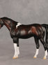 Snow Day OOAK Pebble Arabian Mare by Anna Rieck VV26