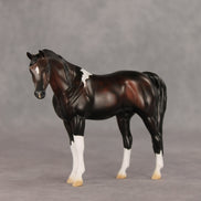 Snow Day OOAK Pebble Arabian Mare by Anna Rieck VV26