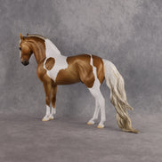Preview: Solomon LE-15 FCM Andalusian by Ashley Palmer MM26