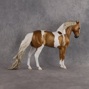 Preview: Solomon LE-15 FCM Andalusian by Ashley Palmer MM26